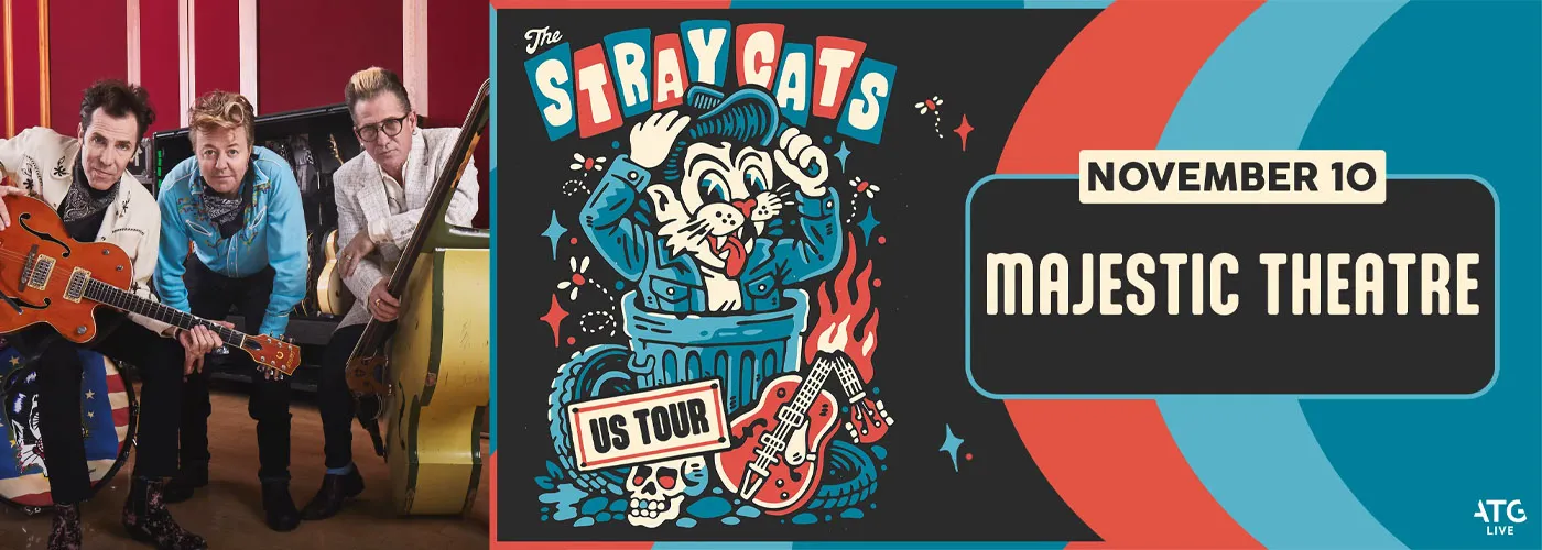 Stray Cats